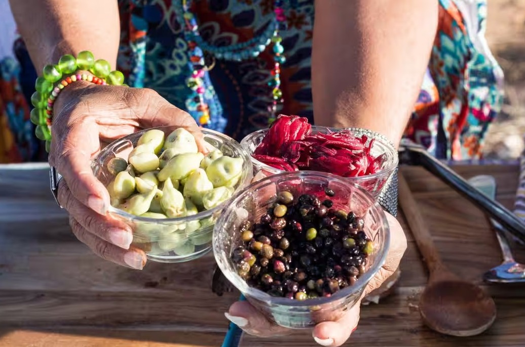 Bush Tucker Adventure Indigenous Ingredients