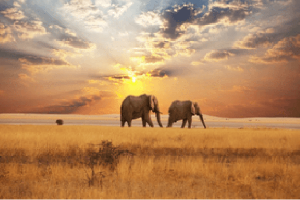 South Africa With Kruger National Park