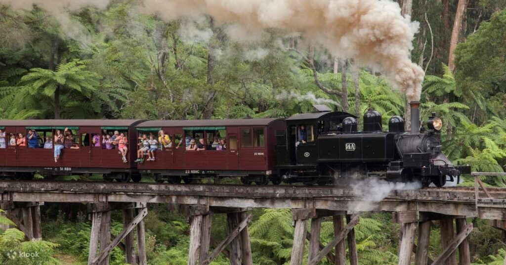 Healesville Sanctuary and Puffing Billy Day Tour Melbourne Australia